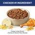 Hill's Science Diet Large Breed Puppy Dry Dog Food - Chicken & Brown Rice image thumbnail 4