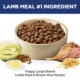 Product Hill's Science Diet Large Breed Puppy Dry Dog Food - Lamb & Brown Rice