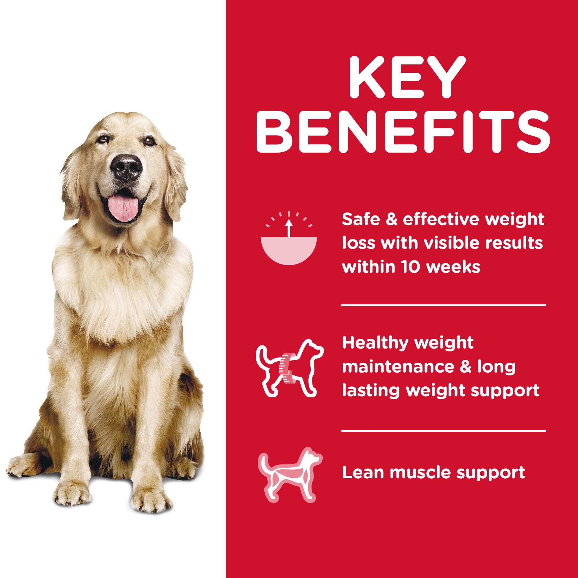 Petsmart hill's science diet perfect weight sale