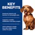 Hill's® Science Diet® Perfect Weight Small & Mini Adult Dry Dog Food - Chicken Recipe image thumbnail 6