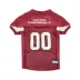 Pets First NFL Arizona Cardinals Mesh Jersey image thumbnail 1
