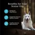 Blue Buffalo® Wilderness Senior Dry Dog Food - Chicken, High Protein, Wholesome Grains image thumbnail 5