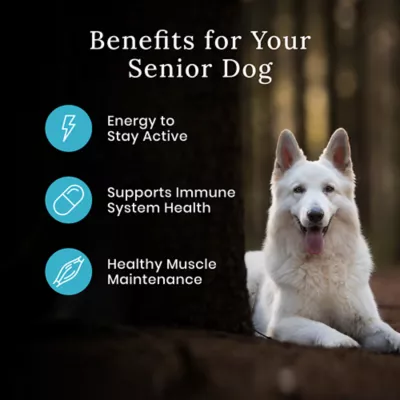 Product Blue Buffalo® Wilderness™ Senior Dry Dog Food - Natural, High Protein, Chicken