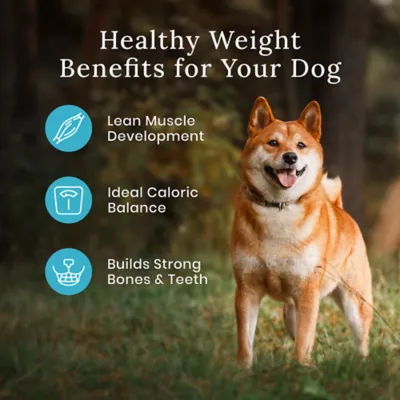 Product Blue Buffalo® Wilderness™ Large Breed Adult Dry Dog Food - Natural, High Protein, Chicken