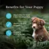 Blue Buffalo® Wilderness™ Puppy Dry Dog Food - Natural, High Protein, Chicken image thumbnail 5