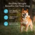 Blue Buffalo® Wilderness™ Adult Dry Dog Food - Natural, High Protein, Wholesome Grains, Chicke image thumbnail 5