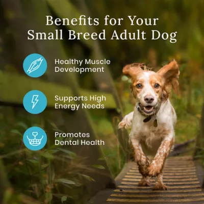 Product Blue Buffalo® Wilderness™ Small Breed Adult Dry Dog Food - Natural, High Protein, Chicken