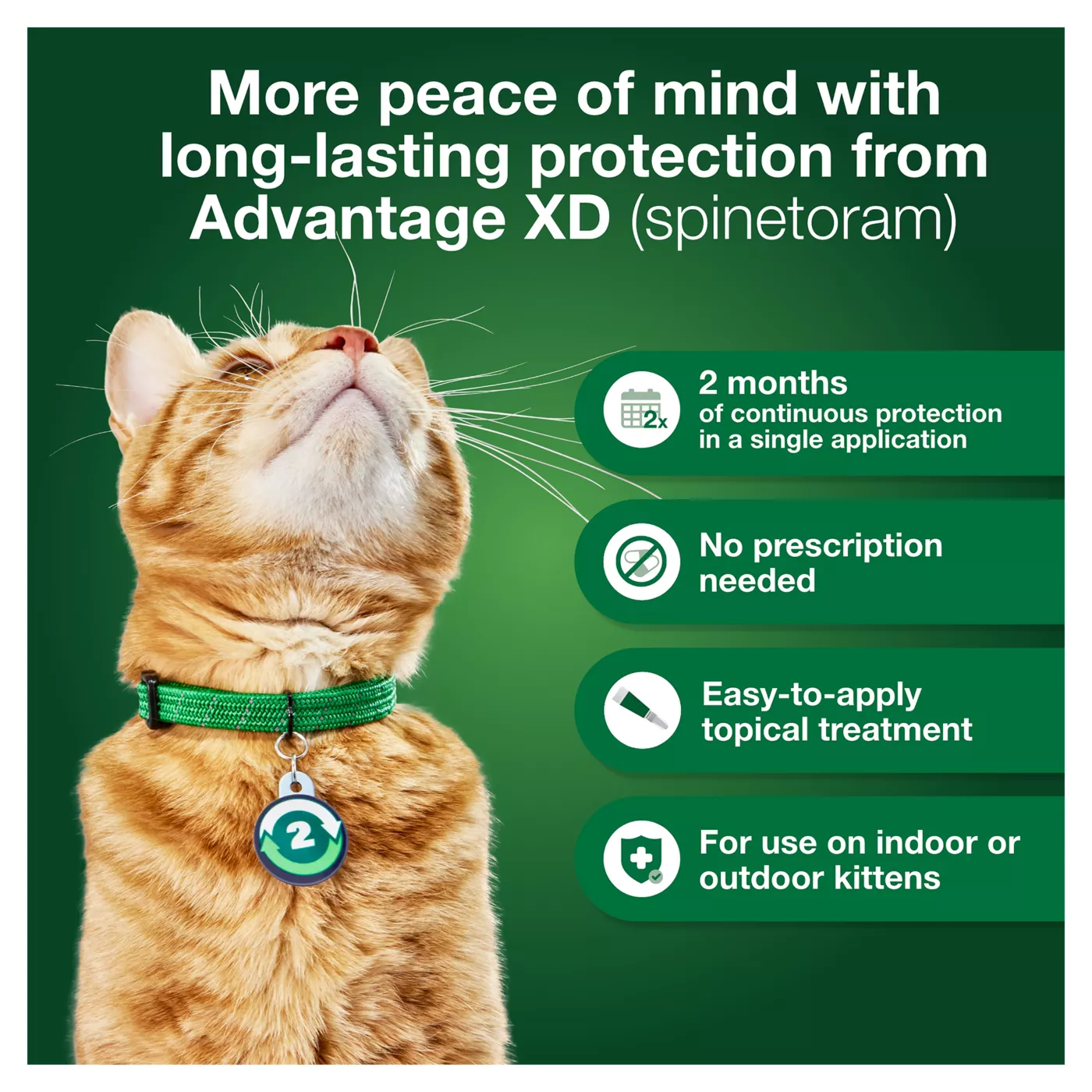 Advantage small cat flea treatment best sale