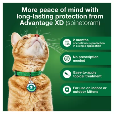 Product Advantage® XD 1.8-9 lbs Small Cat Flea Prevention & Treatment