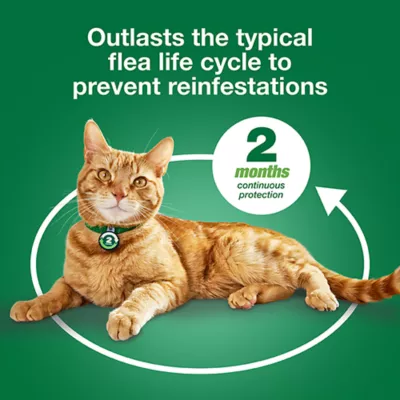 Product Advantage® XD 1.8-9 lbs Small Cat Flea Prevention & Treatment