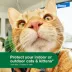 Advantage® XD Flea Prevention & Treatment for Large Cats over 9 lbs, 2 Months Protection per Dose image thumbnail 6