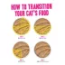 B.F.F. PLAY Pate! For Chicken Lovers Hip Hip Hooray For Pate! Wet Cat Food - Variety Pack, 12 ct image thumbnail 5