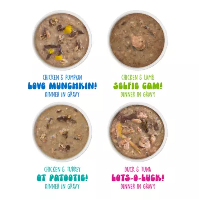 Product B.F.F. OMG Gravy! For Land & Sea Lovers It's Gravy, Baby! Wet Cat Food - Variety Pack, 12ct