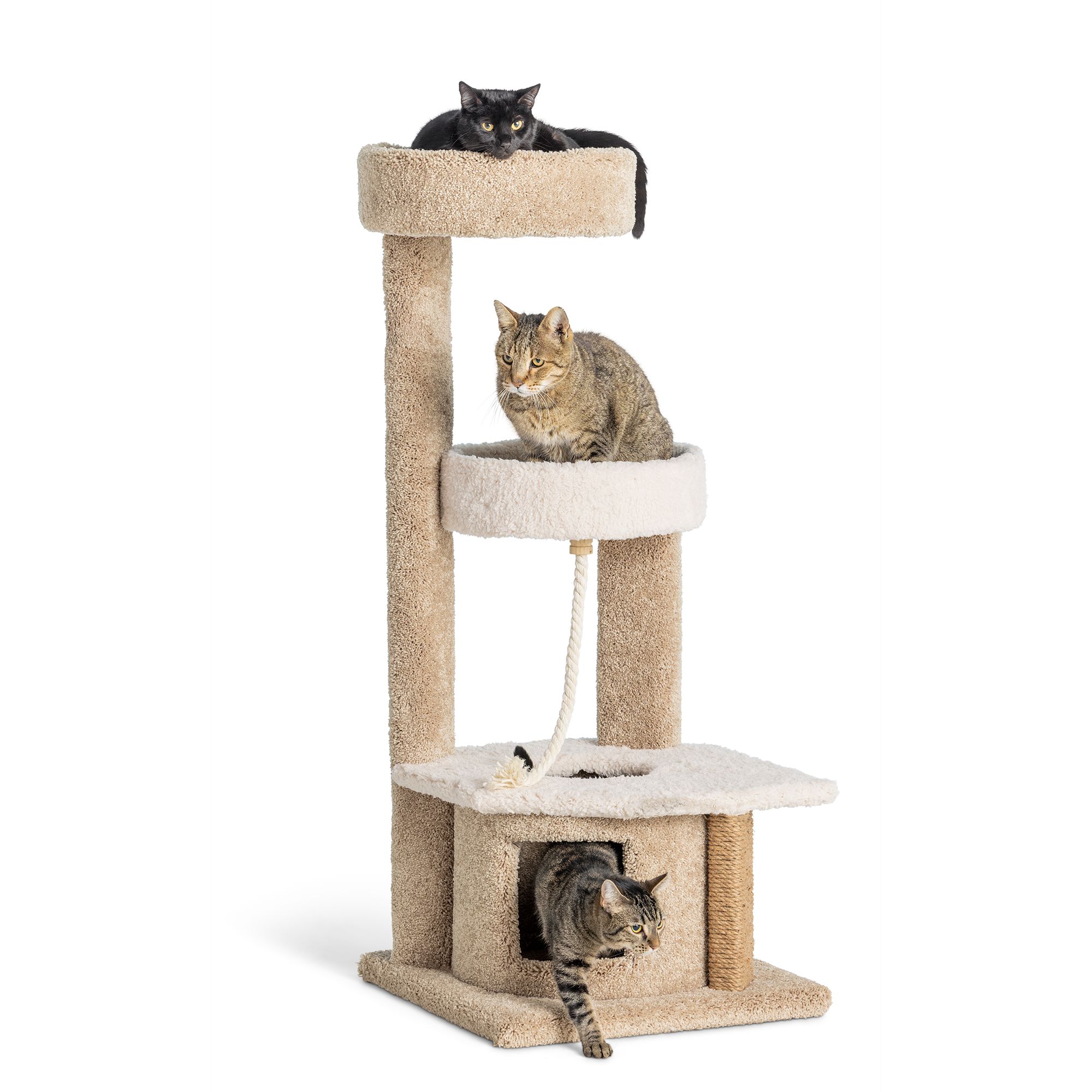 Whisker City 48 in Cozy Climber Cat Tower COLOR VARIES