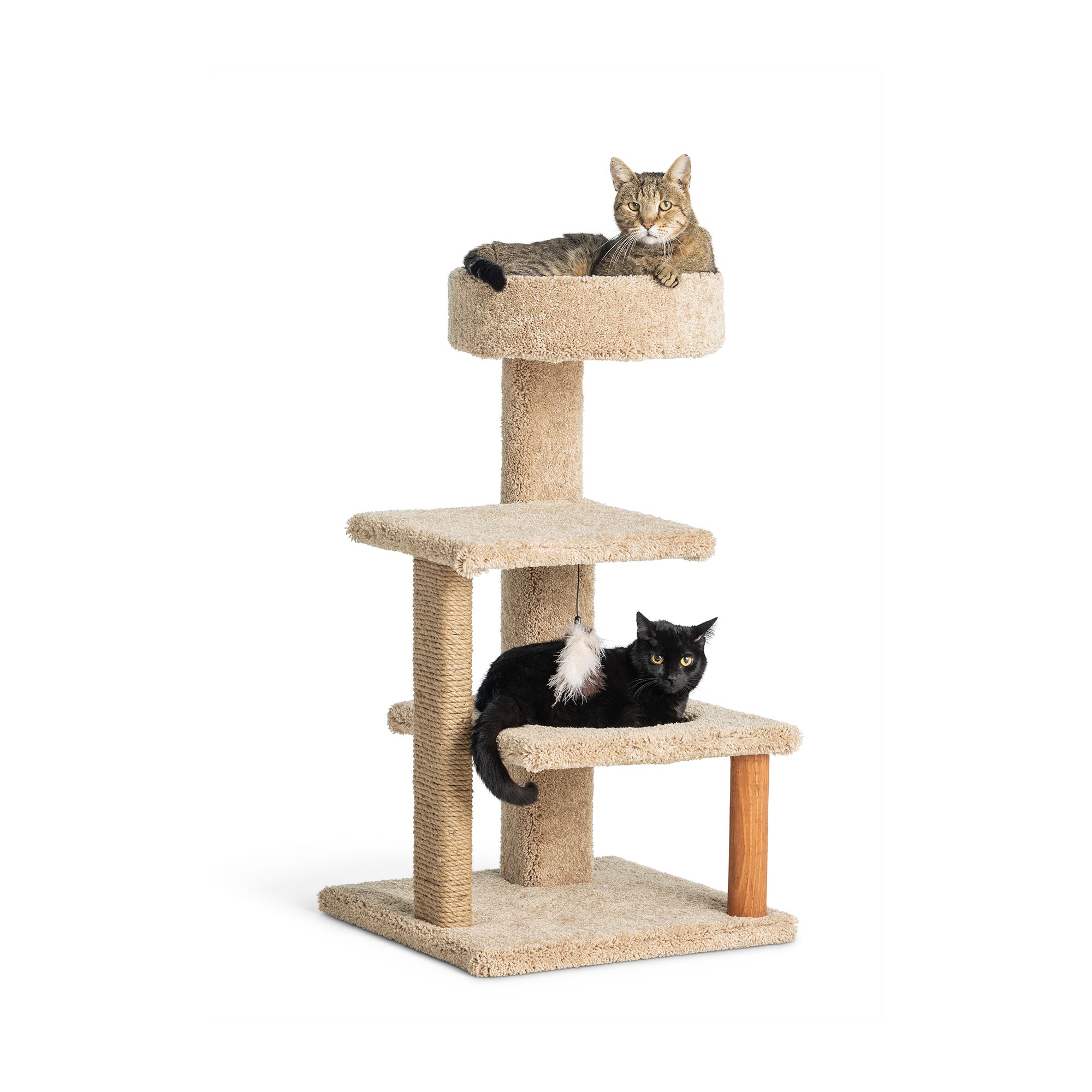 Whisker city cat 2025 tower with cotton rope