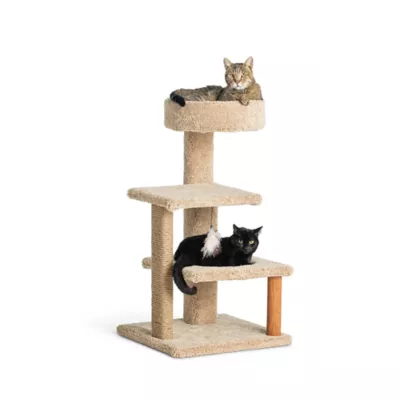 Product Whisker City® 37-in Cozy Climber Cat Tower (COLOR VARIES)