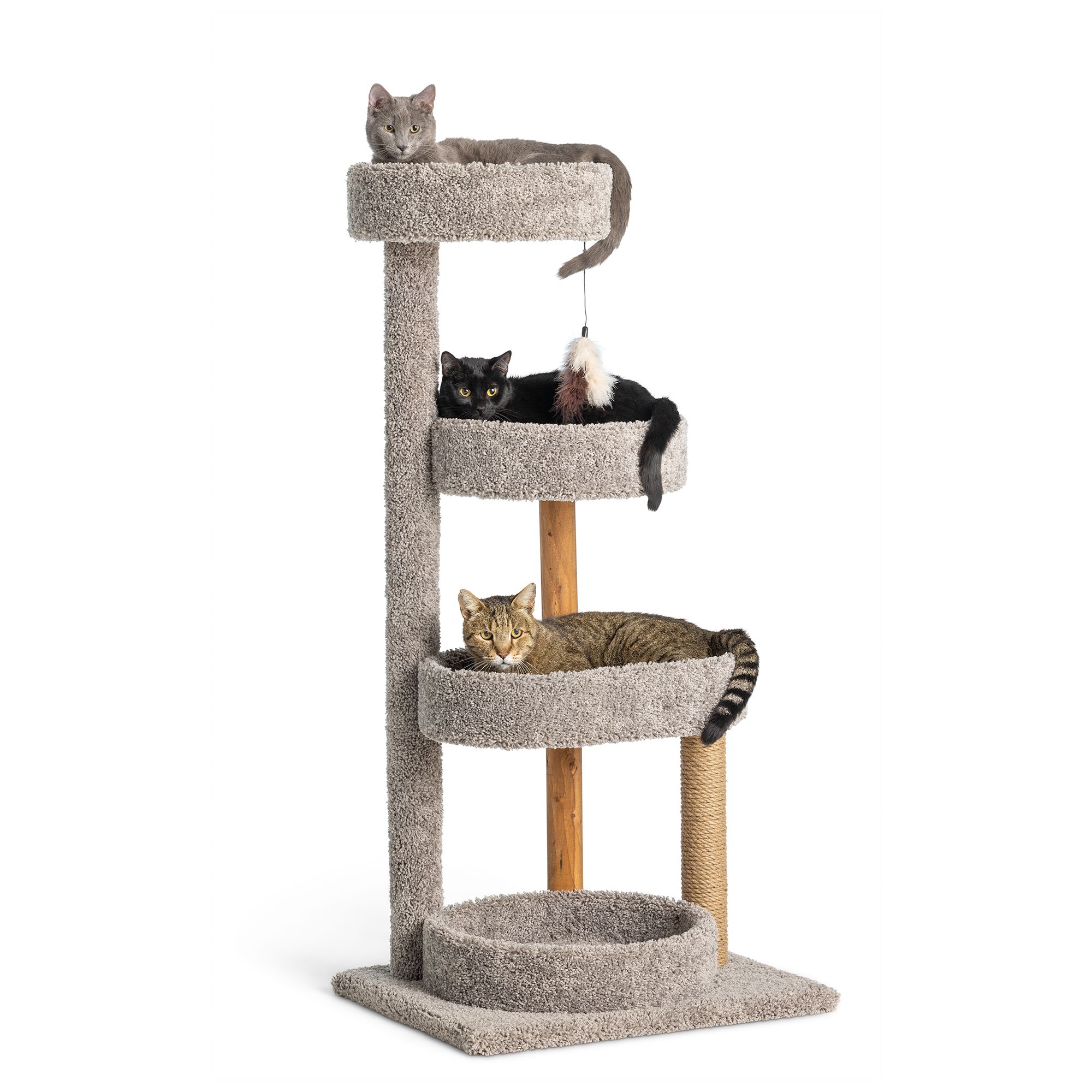 Cat towers at on sale petsmart