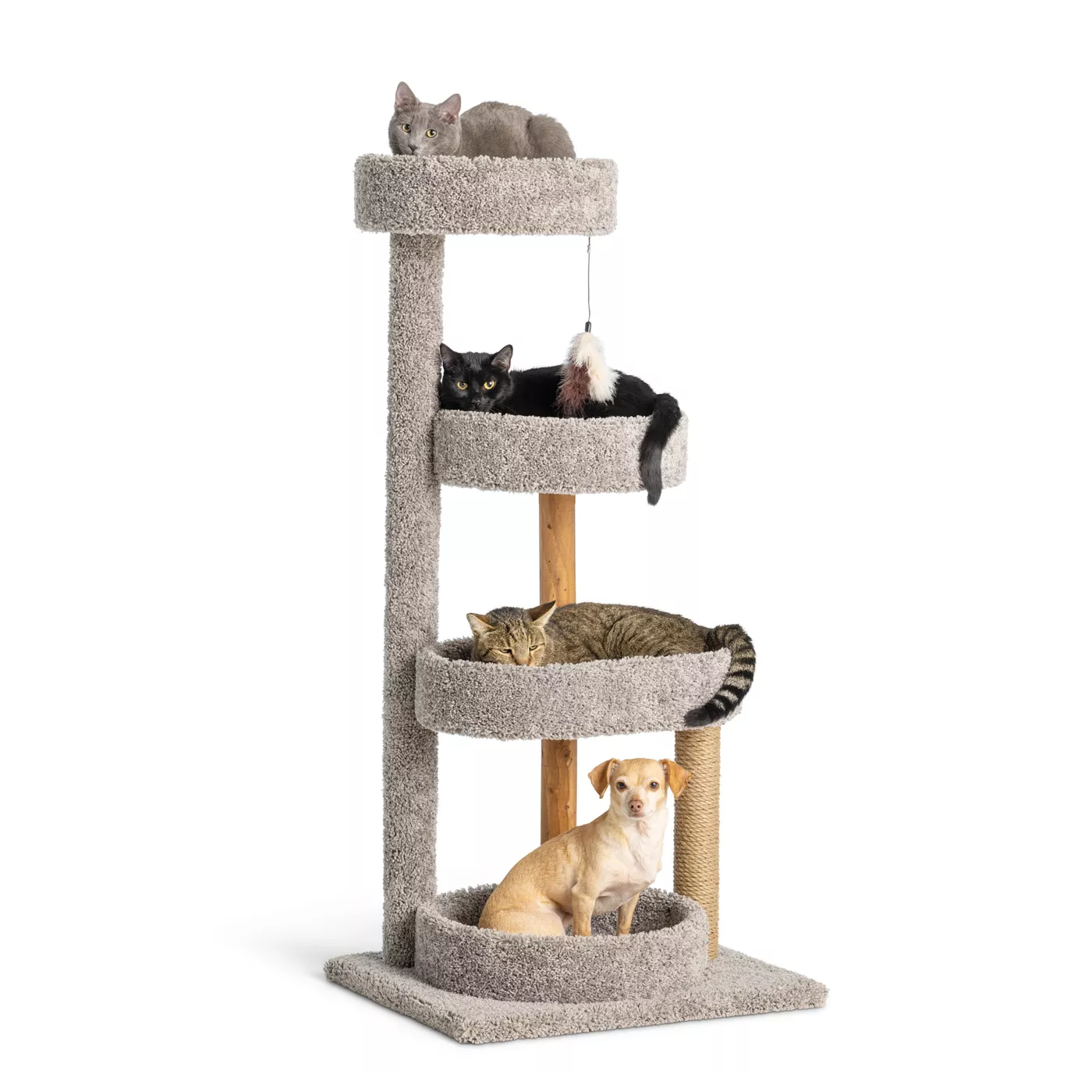 Whisker City Yellow Flower Scratching Post