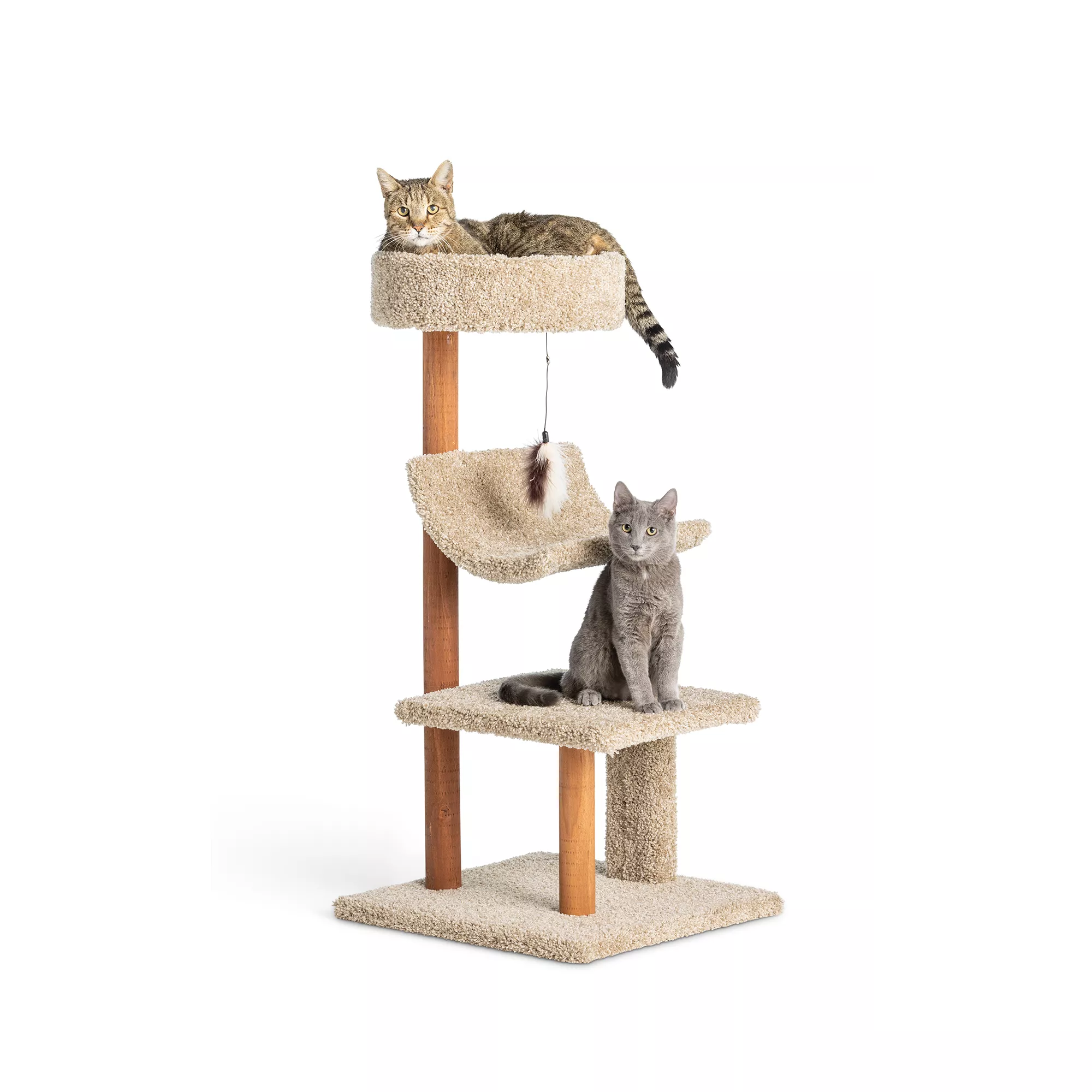 Whisker City® 41-in Cozy Inn Cat Tower (COLOR VARIES)