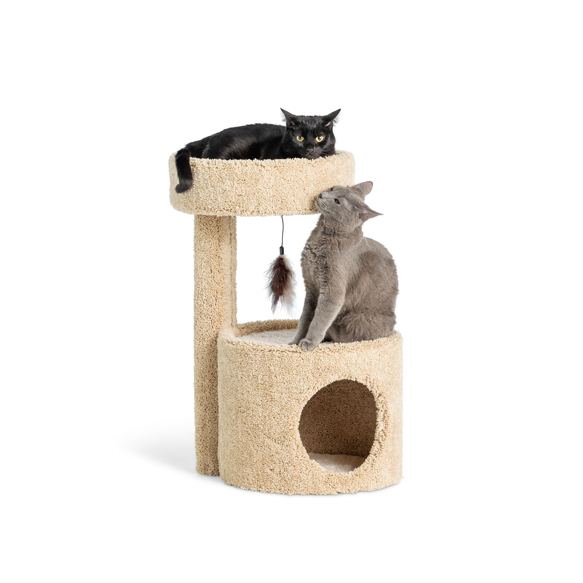 Petsmart cat hot sale house