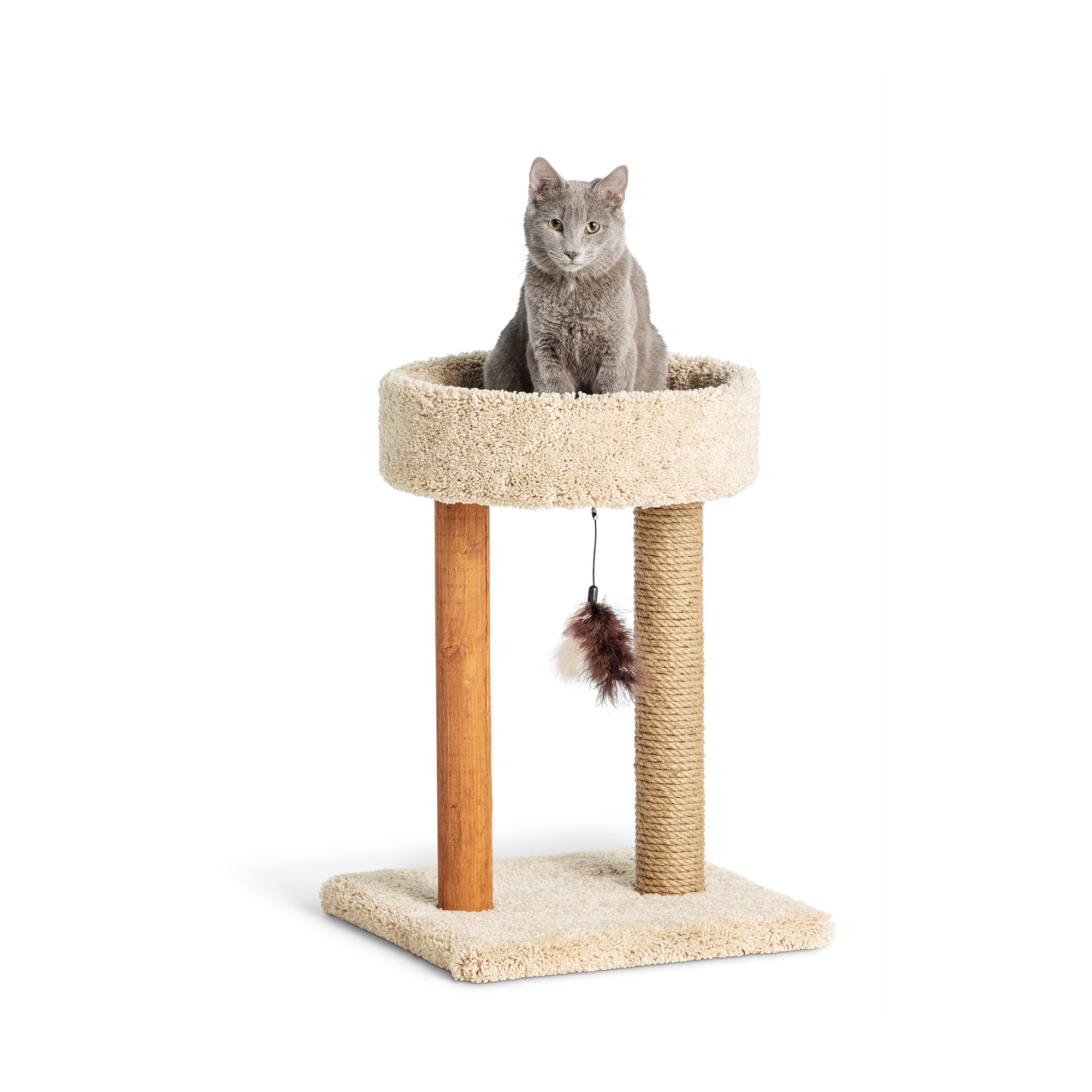 Whisker city cat perch 2024 with double wide scratcher