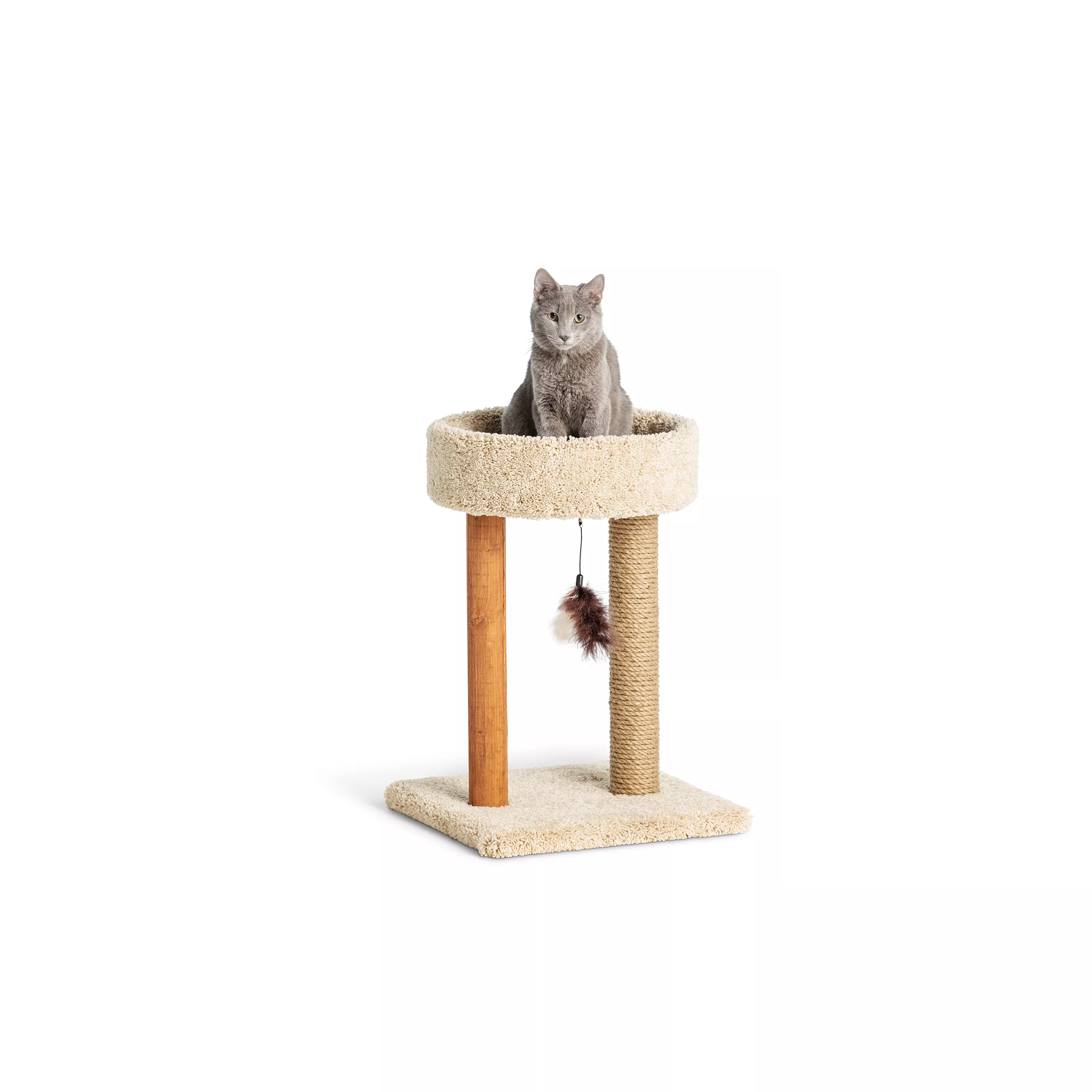 Whisker City Scratching Post