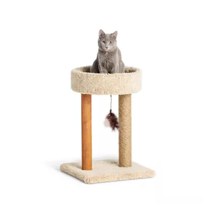 Cat house and scratching post best sale