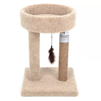 Petsmart cat scratcher hotsell