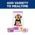 Hill's Science Diet Savory Stew Small & Mini Adult Wet Dog Food - 3.5 oz image thumbnail 9