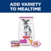 Hill's Science Diet Savory Stew Small & Mini 7+ Senior Wet Dog Food - Chicken & Vegetables, 3.5 oz image thumbnail 10