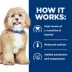 Hill's Prescription Diet h/d Adult Dry Dog Food - Heart Health, Chicken image thumbnail 6