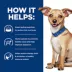 Hill's Prescription Diet i/d Small Breed Bites Puppy & Adult Dry Dog Food - Digestive Care, Chicken image thumbnail 7