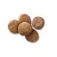 Product Hill's Prescription Diet z/d Small Breed Bites Adult Dry Dog Food - Food Sensitivities, Chicken