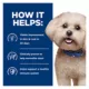 Product Hill's Prescription Diet z/d Small Breed Bites Adult Dry Dog Food - Food Sensitivities, Chicken
