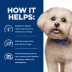 Hill's Prescription Diet z/d Small Breed Bites Adult Dry Dog Food - Food Sensitivities, Chicken image thumbnail 8