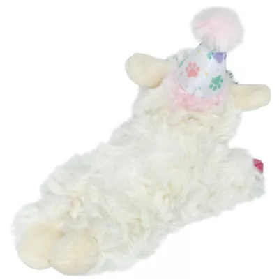 Product Multipet® Birthday Lamb Chop Dog Toy