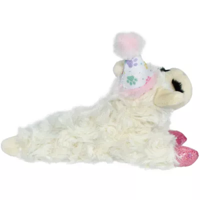 Product Multipet® Birthday Lamb Chop Dog Toy