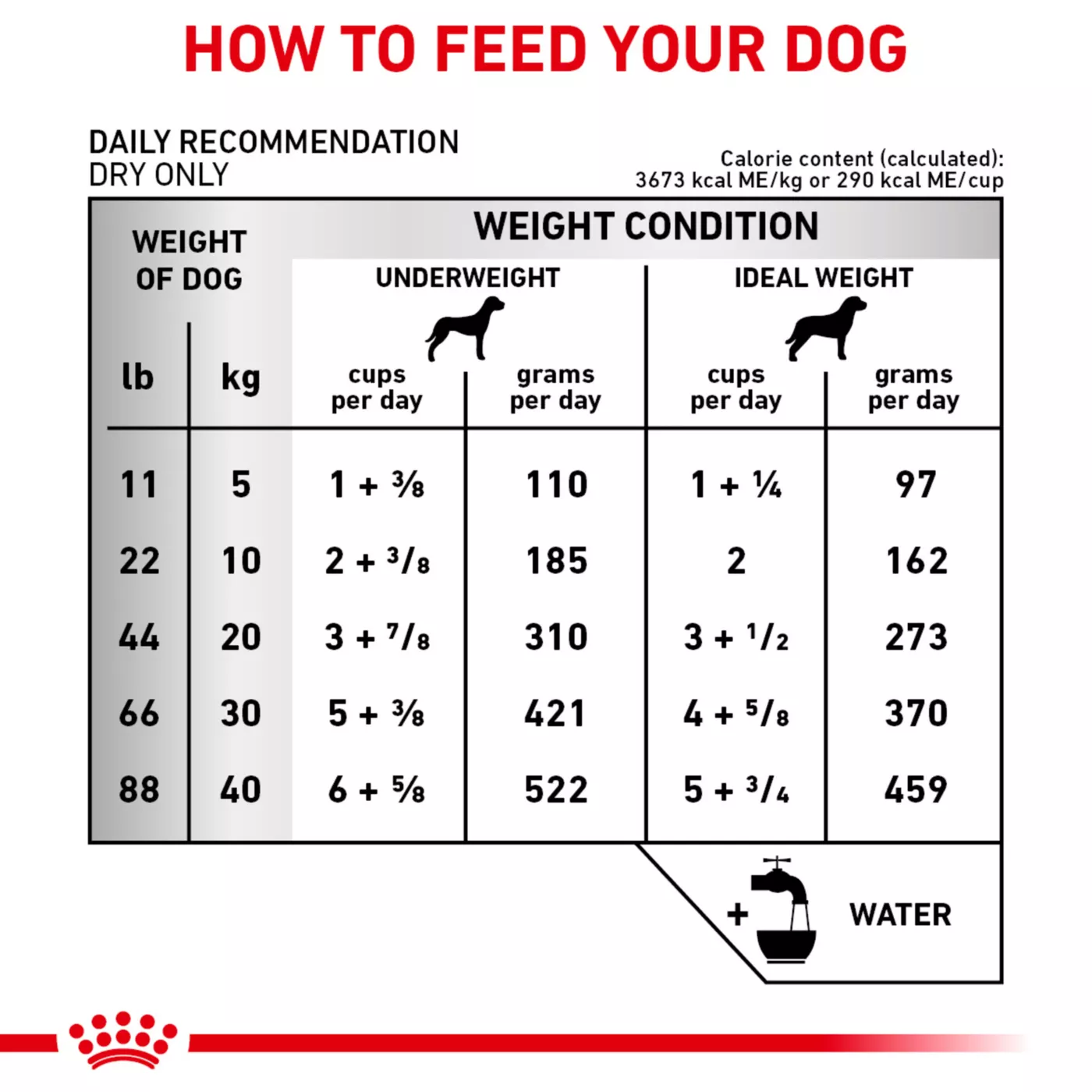 Royal orders canin cardiac cat