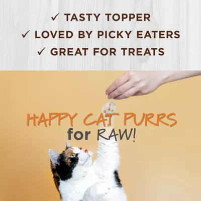 Product Instinct® RawBoost Mixers Digestive Health Cat Food Topper - Natural, Grain Free