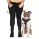 Product Canada Pooch Complete Control Dog Harness - Black