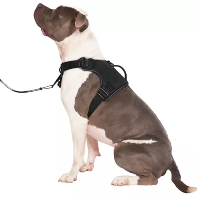 Product Canada Pooch Complete Control Dog Harness - Black