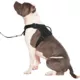 Product Canada Pooch Complete Control Dog Harness - Black