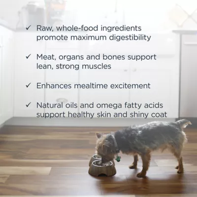 Product Instinct® Raw Bites Adult Frozen Dog Food - Raw, Grain Free, Beef