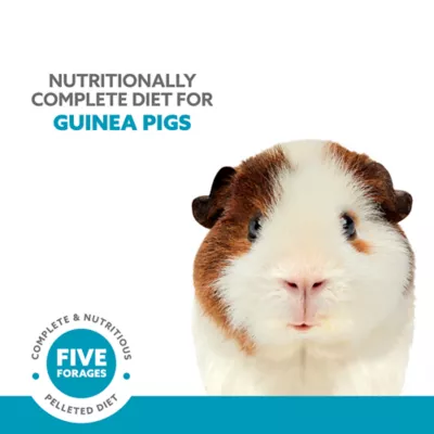 Product Full Cheeks™ Guinea Pig Pelleted Diet