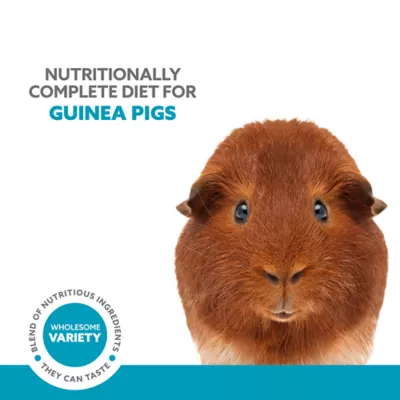 Product Full Cheeks™ Guinea Pig Foraging Food