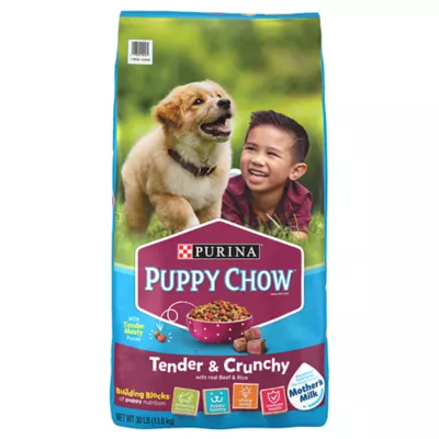 Product Purina Puppy Chow Tender & Crunchy Puppy Dry Dog Food - Beef