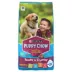 Purina Puppy Chow Tender & Crunchy Puppy Dry Dog Food - Beef image thumbnail 1