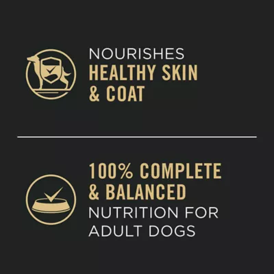 Product Purina Pro Plan Wet Dog Food Complete Essentials Entrée Variety Pack, 368 g x 12