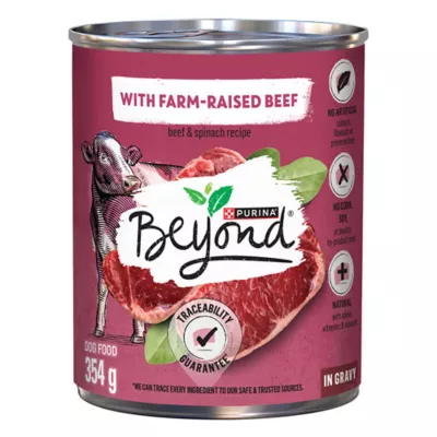 Product Purina Beyond® Adult Wet Dog Food - Beef & Spinach