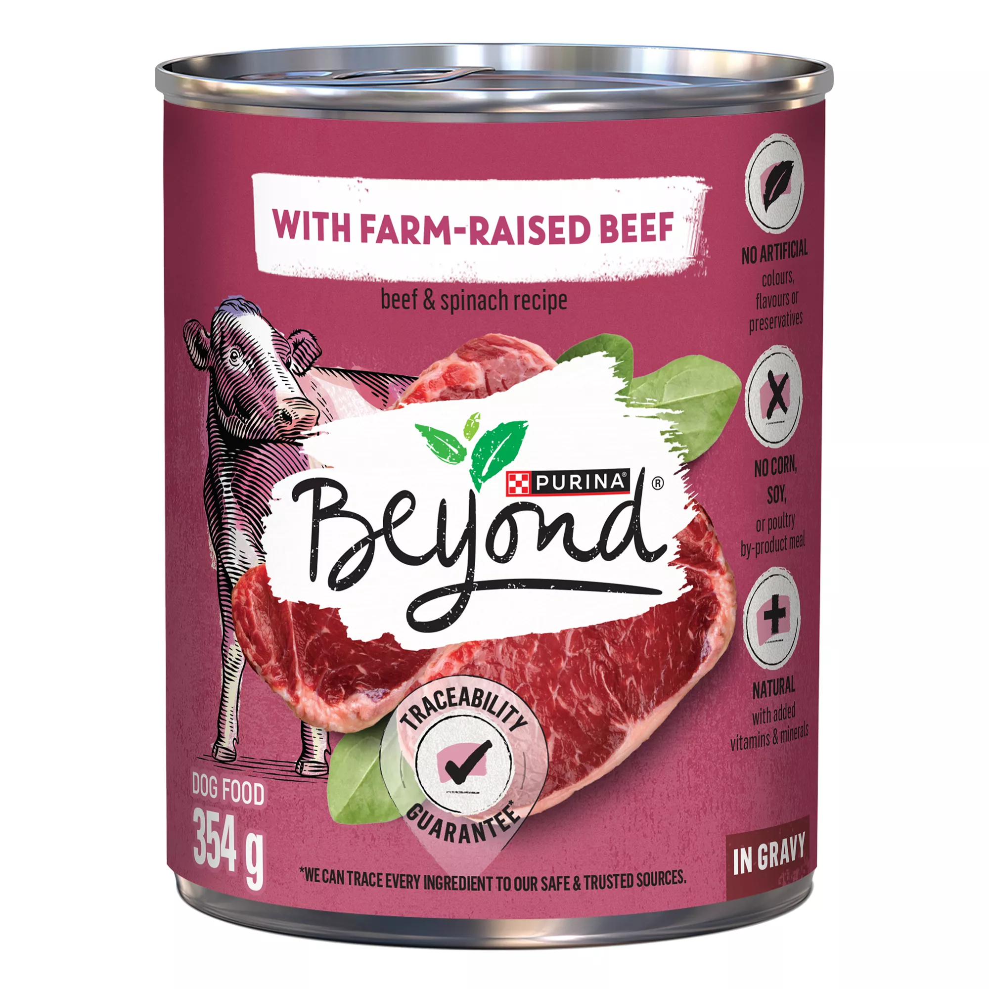 Purina Beyond® Adult Wet Dog Food - Beef & Spinach